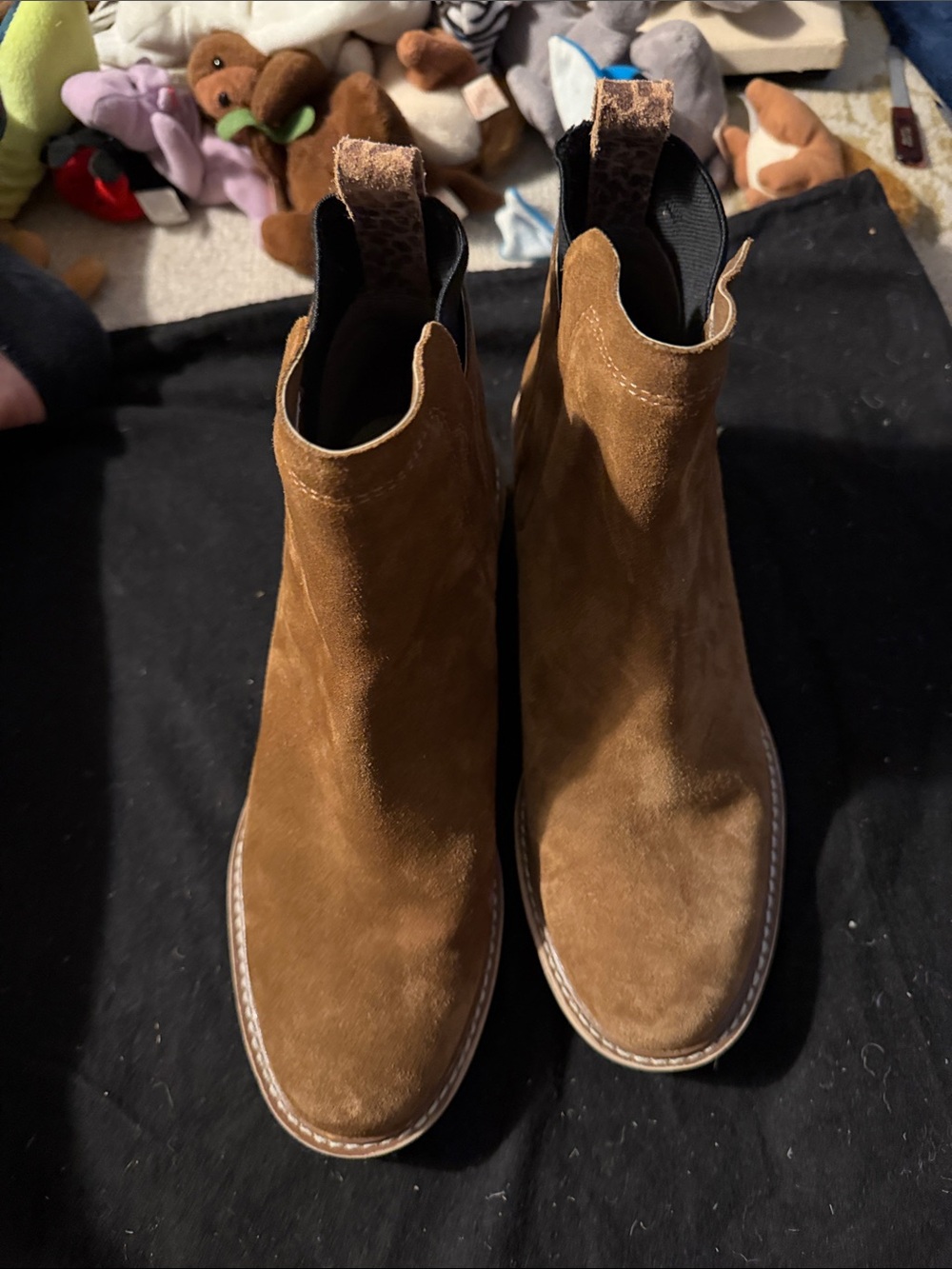 Dolce Vita Women's Suede Chelsea Booties in Brown